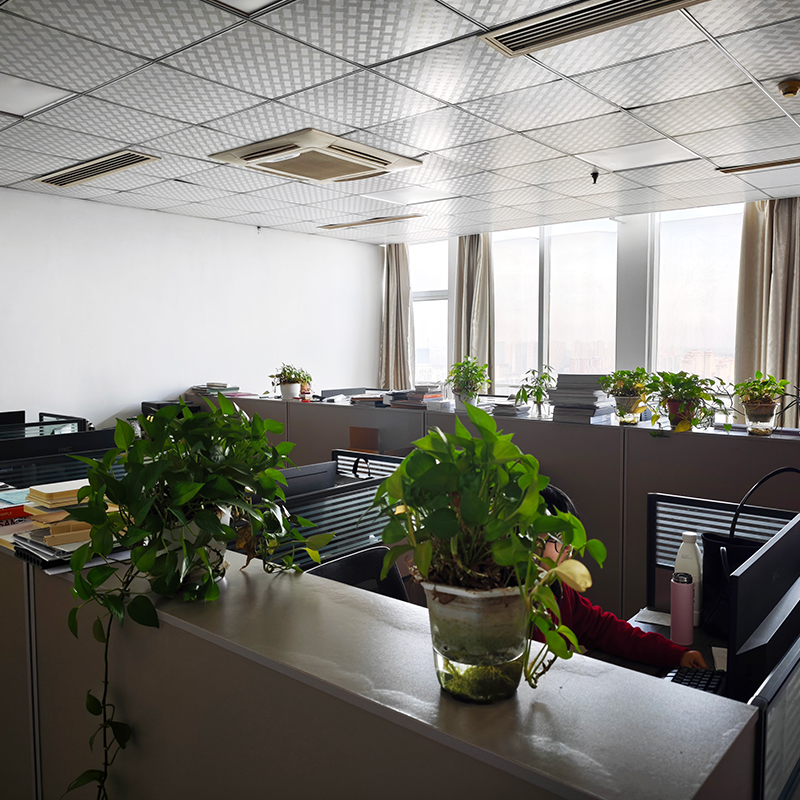 Tiro en vivo de fábrica